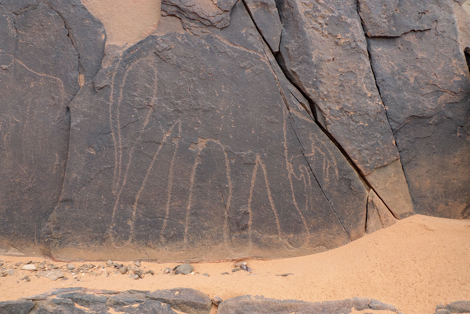 GRAVURES RUPESTRE AMTOUDI AVENTURE